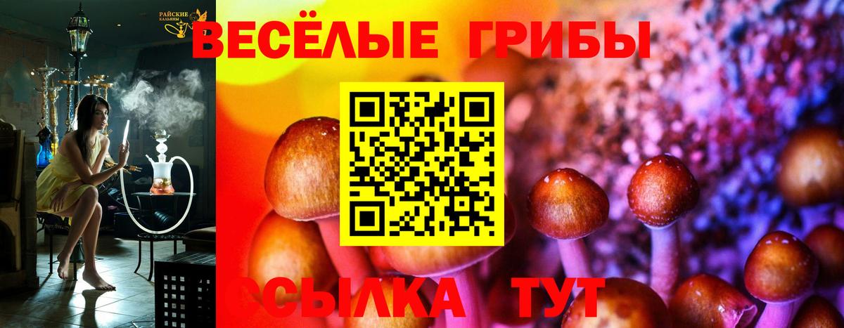 Гагарин  Галлюциногенные грибы мухоморы  где продают наркотики  Вход с VPN 